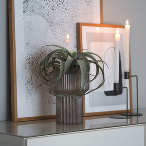 Vase Liv