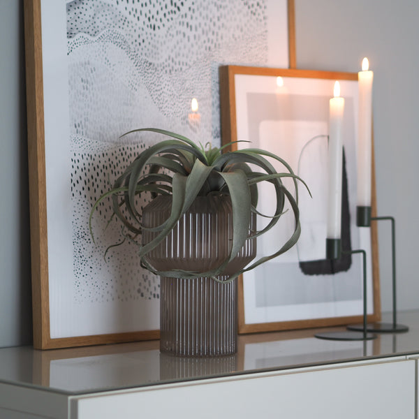 Vase Liv