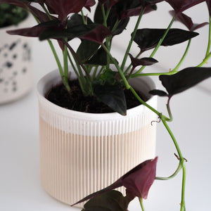 Blumentopf Amalia
