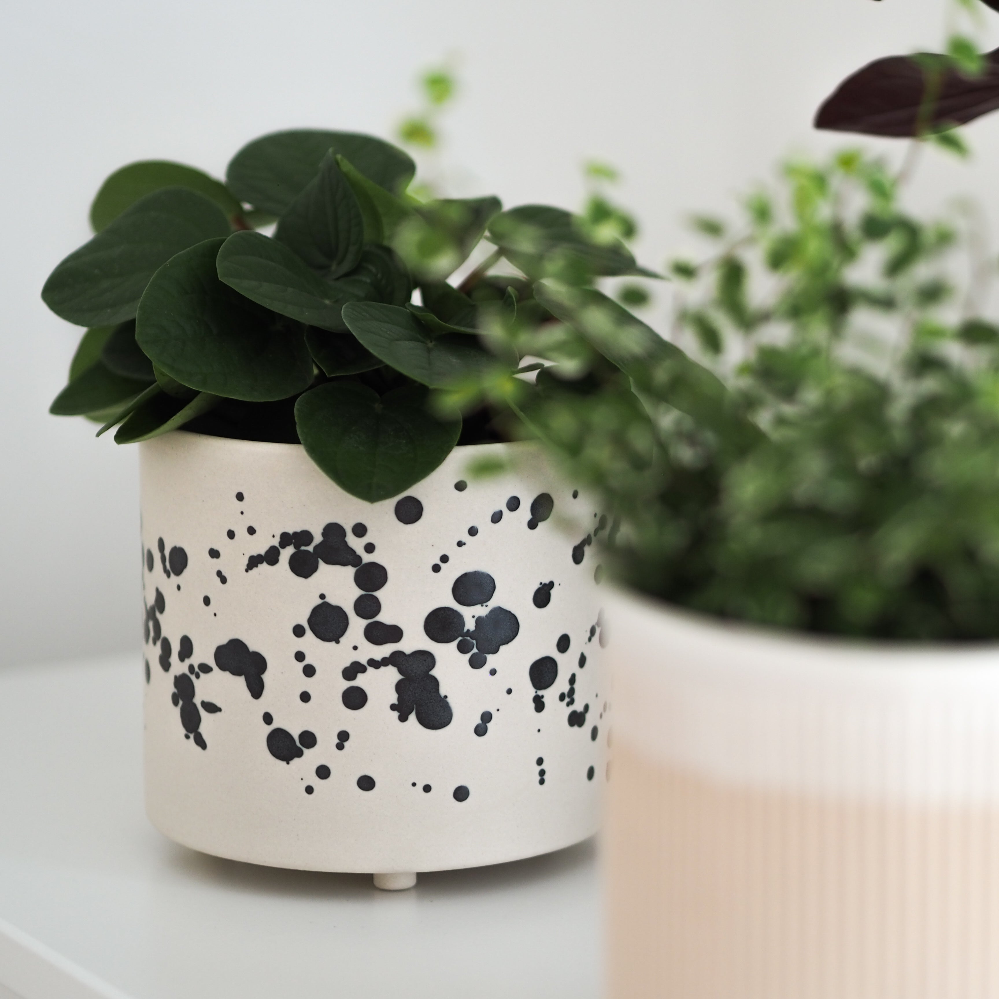 Blumentopf Lia