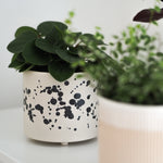 Lade das Bild in den Galerie-Viewer, Blumentopf Lia
