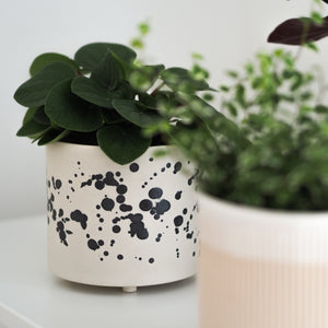 Blumentopf Lia