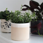Lade das Bild in den Galerie-Viewer, Blumentopf Amalia
