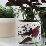 Lade das Bild in den Galerie-Viewer, Blumentopf Lia
