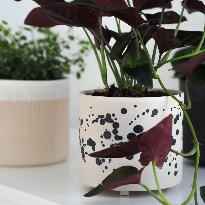 Blumentopf Lia