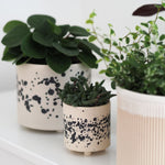 Lade das Bild in den Galerie-Viewer, Mini Blumentopf Ilvi
