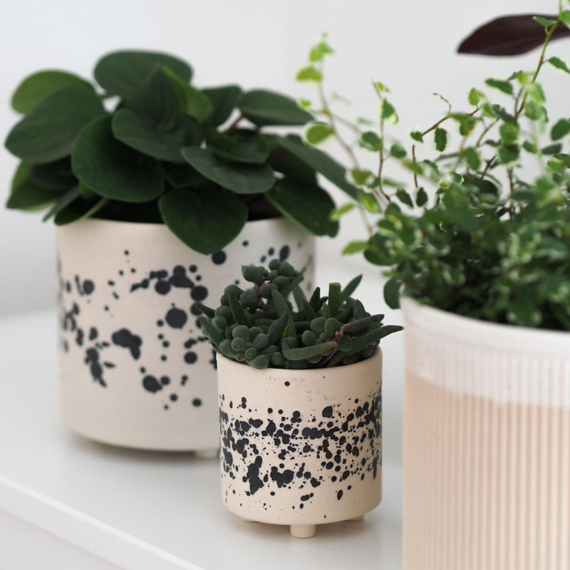Mini Blumentopf Ilvi