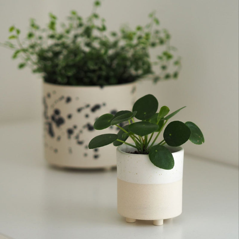 Mini Blumentopf Elin